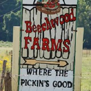 Beechwood Farms Sign
